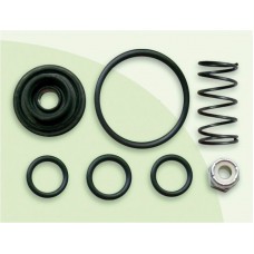 Repuesto para válvula PP2